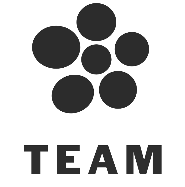 icone team